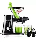 Cold Press Juicer Machine, Compact Single Serve Slow Masticating Juicer