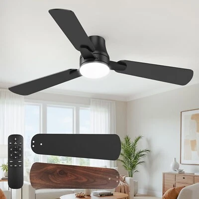 Ceiling Fans with Lights and Remote: 42 Inch Modern Black Ceiling Fan,6 speed