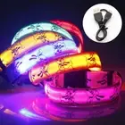 LED Dog Collar Glow Flashing Light Up Safety Nylon Pet Cat Collars Rechargeable