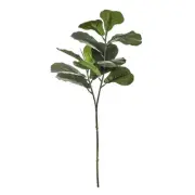 Rogue - Fiddle Leaf Spray 37x30x56cm Green
