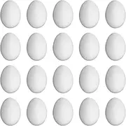Yajuyi 20x Pigeon Eggs for Artificial Hatching Supplies