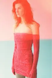 NWT Alex Perry Colter Burnout Gloved Mini Dress AU 6