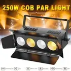 250W COB LED Par Light DMX Stage DJ Light Audience Blind Light Spot with Cover