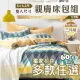 床包 雙人 床包 三件組 5x6.2 多款獨家花色 台灣製 標準雙人 一館