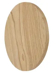 Disk 250mm LED Colour-Shifting Backlit Wall Light in Teak