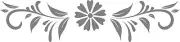 DIY Paint Reusable Mylar Stencil - Flower Floral Pattern Border Swirl Frame v2