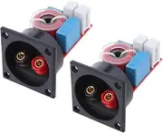 AsrMyjcx 2X 80W Audio Speaker Crossover Divider DIY Parts Kits