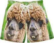 [RPLIFE] Swimming Clothes for Boys, Anti Chafe Swim Trunks Boys 2 T, Funny Alpaca