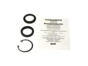 Lower Steering Gear Pitman Shaft Seal Kit For 1978-1983 Ford F100 1981 DW884BD (for: Ford)