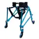 來而康 富士康機械式助行器 FZK-3650 M藍色 後拉式助行車 助步車 身障補助姿勢控制型助行器 (8.8折)