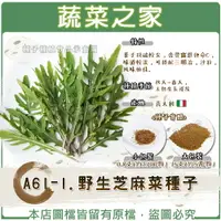 在飛比找樂天市場購物網優惠-【蔬菜之家】A61-1.野生芝麻菜種子(共兩種包裝可選)