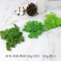 在飛比找松果購物優惠-進口永生進口馴鹿水苔 -不凋乾燥花圈 乾燥花束 不凋花 拍照