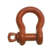 CM Columbus McKinnon 5/8" Painted Screw Pinanchor Shac,