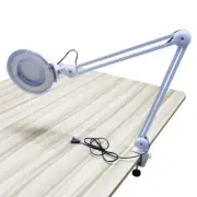 8X Magnifier Lamp White Glass Lens Table Clamp Jewelry Repair LED Light 110V