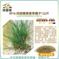 在飛比找Yahoo奇摩購物中心優惠-【綠藝家】M16.四倍體黑麥草種子1公斤(畜牧牧草營養物質豐