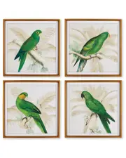 Napa Home & Garden Set of 4 Green Parrots Study