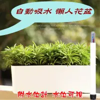 在飛比找松果購物優惠-【JLS】可視水位 附水位計 長方形懶人花盆 多肉花盆 種菜