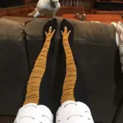 Spring And Autumn Knee Socks Funny Chicken Socks Women's Fashion Chicken Legs