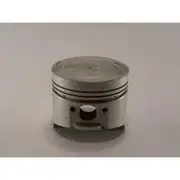Austral Piston Set - PO1264 STD