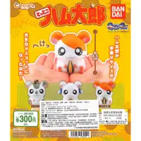 在飛比找蝦皮購物優惠-【Pugkun】日本 萬代 BANDAI 哈姆太郎環保扭蛋 