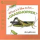 Whats It Like to Be... a Grasshopper?