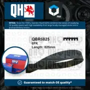 6 Rib Multi V Drive Belt fits TOYOTA PREVIA TCR1, TCR2 2.4 90 to 00 2TZ-FE QH
