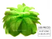 100 Pieces- 8-10" Lime Green Wholesale Ostrich Drabs Feathers Mardi Gras Costume