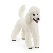 Schleich Farm World Poodle Figure 13917