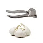 New Stainless Steel Cloves Ginger Garlic Press Mince Crusher Squeezer Chopp FT