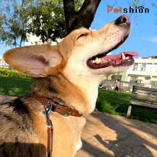 【Petshion】寵物項圈 頸圈 真皮項圈 C3-S (8折)