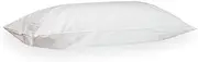 Dupen Protective Case White