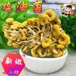 鷄油菌幹貨 榆黃蘑新鮮黃金菇黃絲菌蘑菇特産煲湯菌菇黃金菇