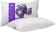 Canadian Down & Feather Co - Medium Support Canadian Hutterite Goose Down Pillow Standard Size - 400 TC Shell 100% Cotton - Made in Canada