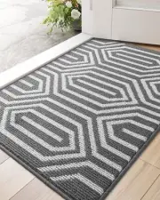 DEXI Front Door Mats for Entryway, Non Slip Washable Low-Profile Entry Doorma...