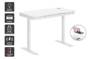 Ergolux Sorrento Electric Standing Desk with Wireless Charging 120 x 60cm (White/White)