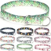 Serijoars Martingale Dog Collar - No-Pull Training Collar with Flower Multicolor Cute Patterns and Slidable Stop Ring (S, Grass)