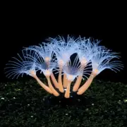 Delicate Mini Coral Terrarium Coral Clump Naural Appearance Aquarium Decor