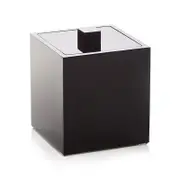 Mike and Ally Ice Container