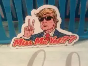Donald Trump Vynal Decal - Miss Me Yet??