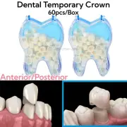 Dental Resin Temporary Crown Anterior Front & Back Tooth Molar Teeth Set
