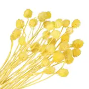 30 Pcs 16 Inch Dried Flowers for Vase Mini Pine Ball Flowers Yellow(Stem)