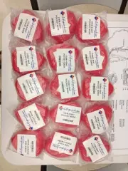 15 CPR Pocket Masks