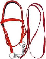Horse Headstall and Reins - Horse Bridle Rope Headstall Adjustable | Animal Bridle Harness with Snaps, Safety Rein Ranch Rope, Equine Supplies
