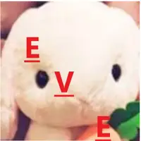 在飛比找蝦皮購物優惠-日本代購 白兔 系列 EVE 玩偶大清倉