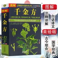 在飛比找樂天市場購物網優惠-優樂悅~正版 圖解千金方 孫思邈中醫基礎理論自學百日通中醫書