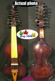 Baroque Style Bird's eye 7×7 strings 14" SONG concert solo Viola d'Amore #3976