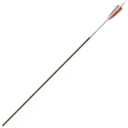 Easton Carbon Legacy 5MM Feather Fletched Half Dozen Arrows-700 Spine