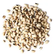 Black-Eyed Peas — Sproutable, Kosher, Raw — by Food to Live