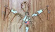 Western Natural Leather Tack Set of headstall and Breast Collar with Stones