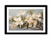 White Flower Art Art Framed print